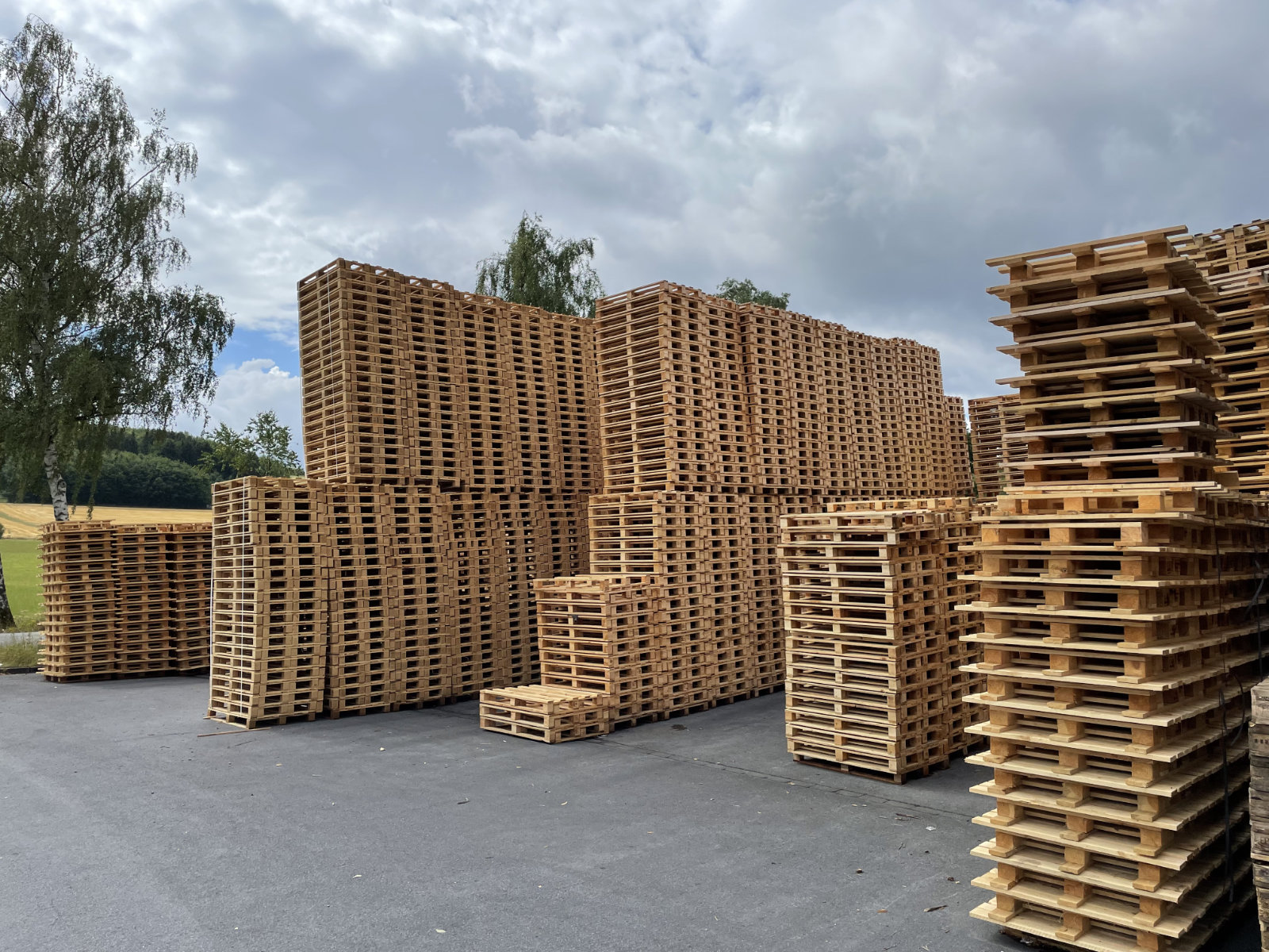 Gestapelte Holzpaletten unter offenem Himmel